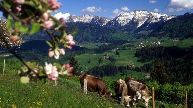 Fewo Alpenbrise, Oberstaufen Extérieur photo
